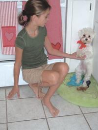 Courtney (cc) White puts her 2 year old Maltese named Rudy in time out. Rudy actually stays there for about 3  minutes. You hear time out concerning children these days, but not usually for a 6 lb. Maltese, and doesn’t he look deprived with all those toys around him.