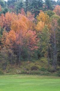 Fall color near Pittsford VT. on Wednesday September 26th, 2007