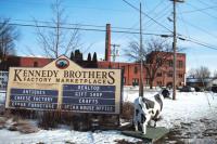 The Kennedy Brothers cow enjoys some sunshine last week. The Vergennes firm will begin a major renovation project as soon as plans are approved by State Regulators. The business and buildings will remain open during the project.