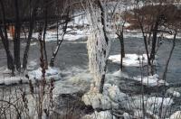 The same cold mist that drivers see on their windshields when they cross the
Battell Bridge coated this tree below Middlebury Falls.