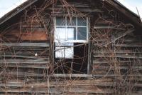 This old barn near Florence has long since past its prime... but has it? The longer you look the more you see and appreciate.