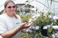 Linda enjoys Flowers