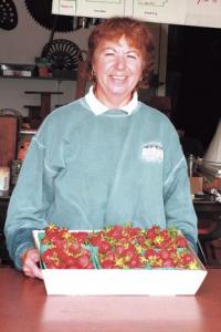 Sue Douglas welcomes visitors and many life long friends to Douglas Orchards in Shoreham on Friday morning June 20th 2008. The first weekend of summer brought out many strawberry customers in spite of intermittent showers near the fields. Sue says this year’s crop is excellent and business has been brisk. This is the 110th strawberry season at Douglas Orchards.