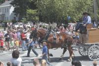 A beautiful team of Belgian Draft Horses are admired by parade watchers at the Bristol 4th of July parade and festivities once again in 2008.