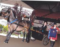 Hailey and Howard standing proud after their exciting finish in Junior Driving Pleasure. On to Worlds representing Vermont and our proud tradition of Morgan Horses