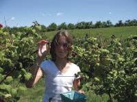 CC White picks berries at Douglas Orchard in Shoreham. Strawberries are one of her favorite fruits.