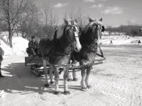 Driven by owner Al Myers, one of the teams of Clay Country Farms moves off on one of their Saturday sleigh rides. Fun for the whole family.