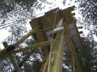 Fifty feet up and still climbing, Bobby's Tree House perches.