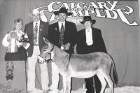 Proudly showing off her red ribbon which in Canada is for the winner, Marshlyn poses with Ass-Pirin Acres 2004 World Champion Jennet Miss Abaline.