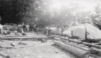 In addition to farming, the family ran a log cutting operation. Helen recalled vividly that one day the government brought four logs to the place that were so large it took her father and uncle two days to saw them to the proper length. They were for a huge ship.
