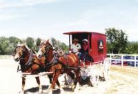 In the show ring at Addison County Field Days, Bill and his team and his music wagon.