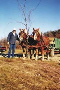 Bill Oosterman and his team Duke and Kate stand in the summer sun.