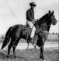 Photo Provided by The National Museum Of The Morgan Horse