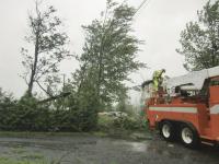 CVPS in action having just cut the top off of a tree that fell across the power lines on Way Lane in Bridport.