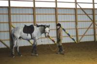 In the ring and hard at work, Julie and Casper work on the skills that are the basis of a life long partnership and a passion for teaching that will be Julie's career.