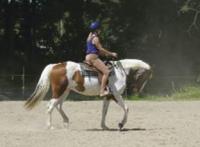 With boarding, riding, lessons and training, Kingsland Bay Stables LLC is a family run and family oriented barn. 