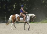 With boarding, riding, lessons and training, Kingsland Bay Stables LLC is a family run and family oriented barn.