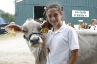 Virginia Patz prepares to show her beautifully groomed Jersey on Thursday afternoon at Addison County Fair & Field Days. Field Days is a genuine Vermont must-see event every August.