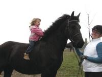 Four Year  old Mariska (Jan and Tinie’s granddaughter) sitting astride three year old Middlebrook Friesian Elbert