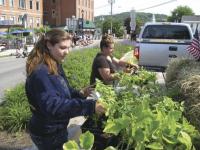 Middlebury FFA students (l to r)  Jordan Hubbell and Samantha Little hand out tomato plants they grew in the Hannaford Career Center greenhouse to the crowd at the Middlebury Memorial Day Parade.