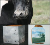The geese flying, and the soybean field on a delightfully crooked antique breadboard, and the Oreo Cookie Cow are but some of the pieces of photographic art to be found with Allyson Kilbride.