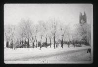 Winter in the Park with trees lighted for the season and snow cascading down, is one of many memorable sites we all carry with us in Christmas time memories.