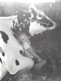 Six year old Marolin Bingham snuggles with her show cow by the same name. Both cow and owner are getting excited and getting ready for the local event of the year, Addison County Field Days!
