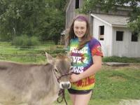 Katy Waterman preparing her calf, Goldy, for the fair.