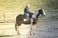 Still horsing around with the family, Lois Huizenga-Higbee sits on her sister’s horse just shy of her own 80th birthday