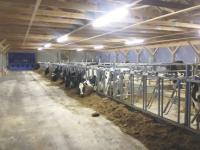 A new barn opens up possibilities and is part of the an overall business plan to keep growing and diversifying. Vermont farmers all watch carefully the changing world of agricultural business and are quick to respond to growth, but steady and thorough in long term planning.