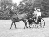 Katie and Shangrila are exploring the world of carriage driving with Bob Giles as their guide. Whether working in Maine, Florida or Vermont, Katie is living her dream and taking on another venue of the equestrian world.