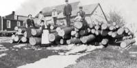 Logs cut for new Cow Barn 1911.