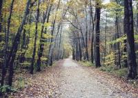 May your road home this Thanksgiving take you down paths both familiar
and new.
