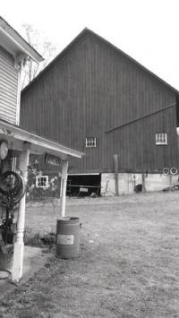 One of the barns that Tim Fitz-Gerald kept full of antiques to entice the visitor and collector.