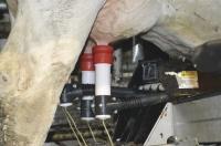Sunderland Farm robotic milking magic.