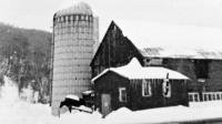 At the north end of the barn that still stands on the family farm, the fields are now full of a new crop in Vermont’s agricultural landscape- Hops.