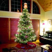 Dedication to decorating the perfect tree was one of Fran Allo's holiday joys!