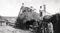 Haying 1921.